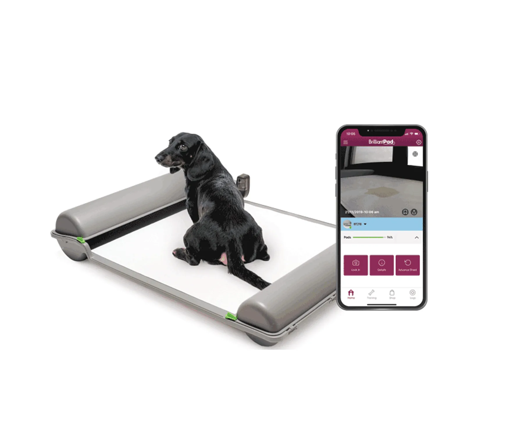 Smart Pet project thumbnail
